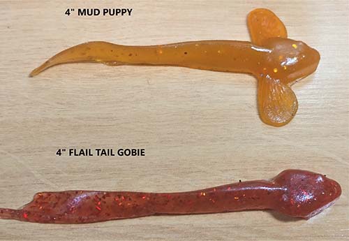 Flail Tail Gobie/ Mud Puppys
